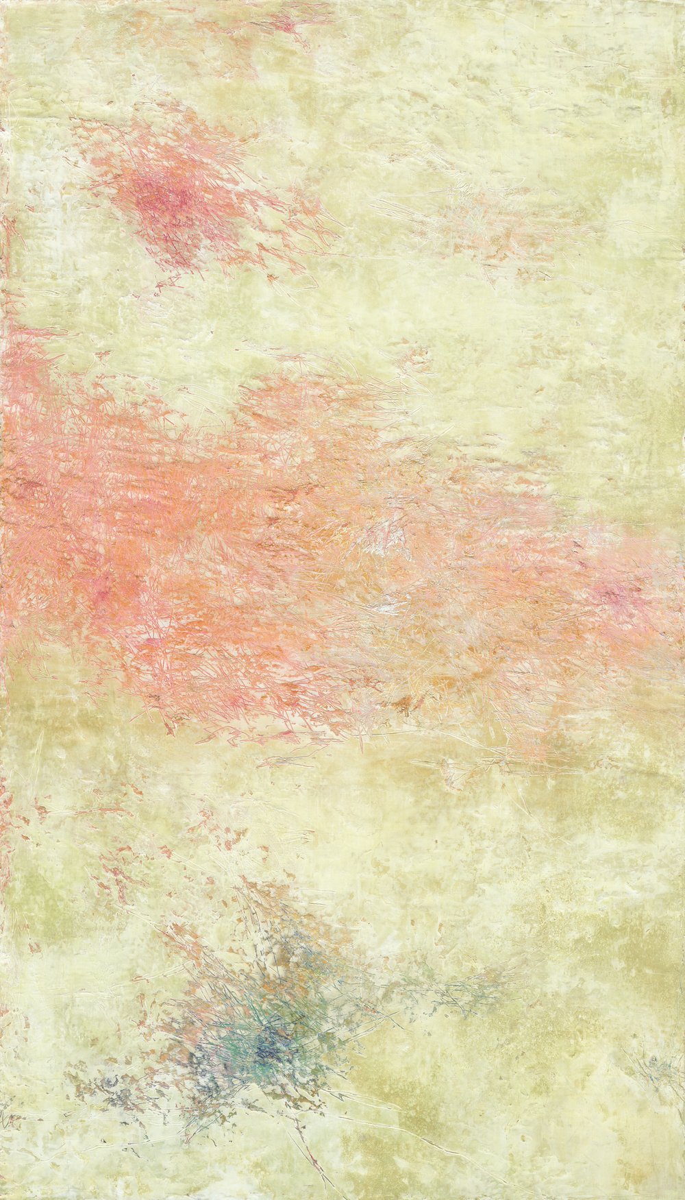 Fallen Eucalyptus Leaf | Canvas Print